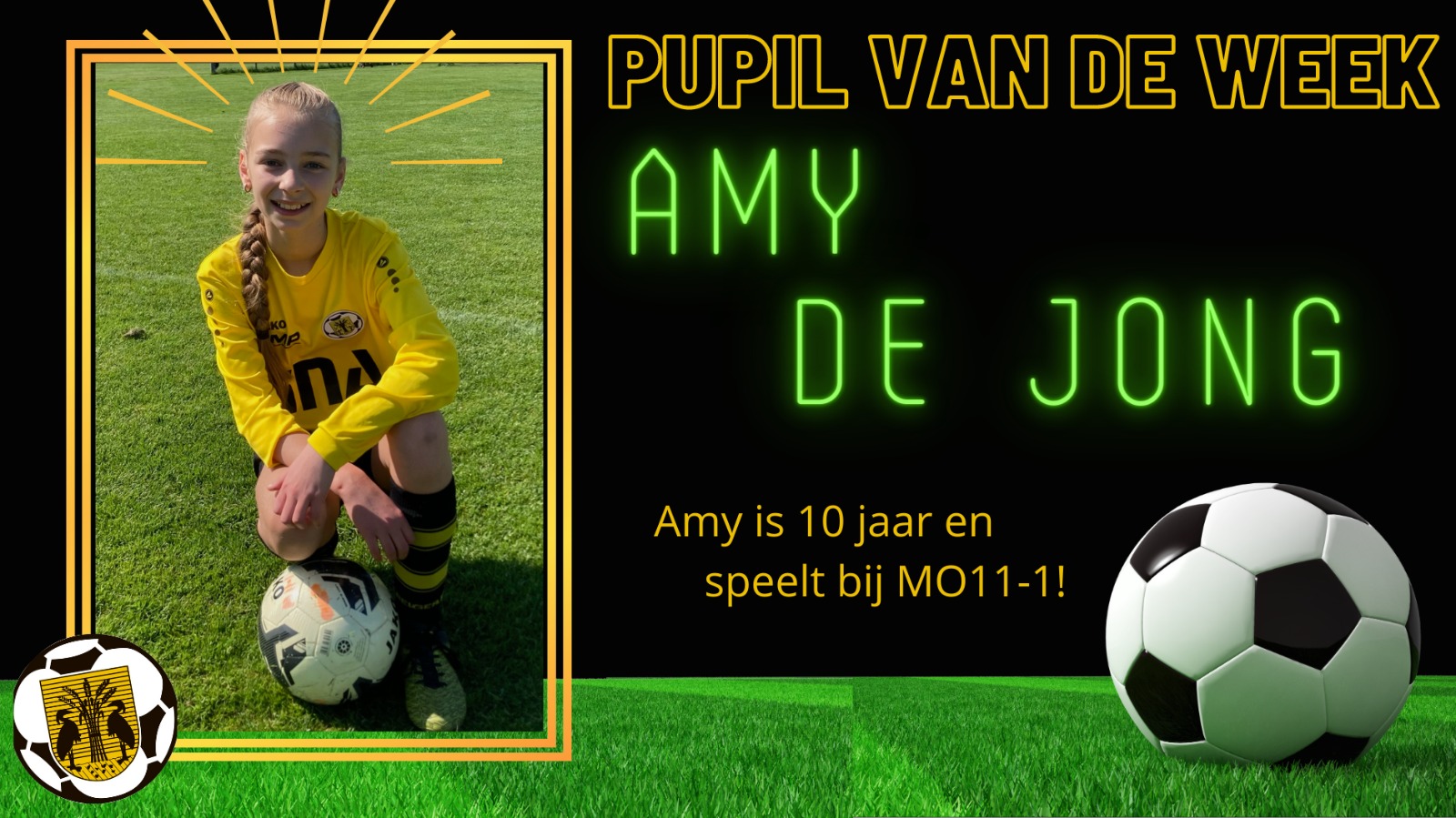 Amy de Jong pvdw