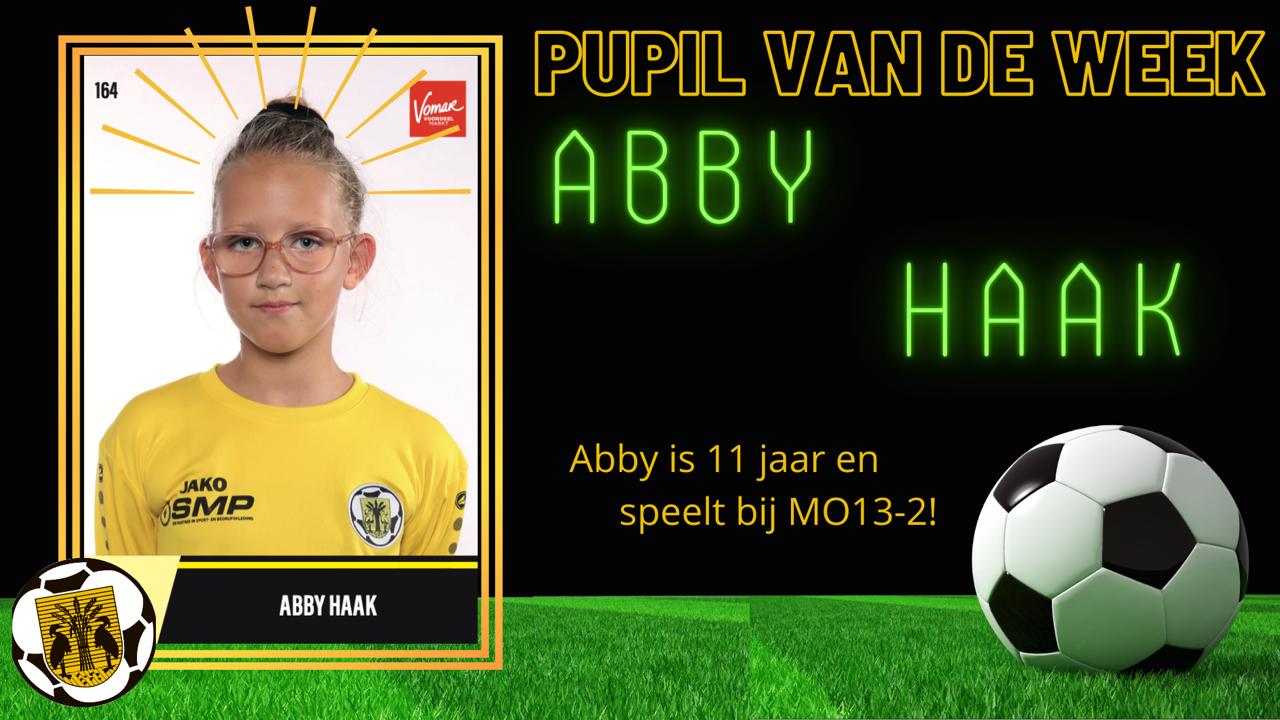 Abby Haak PVDW