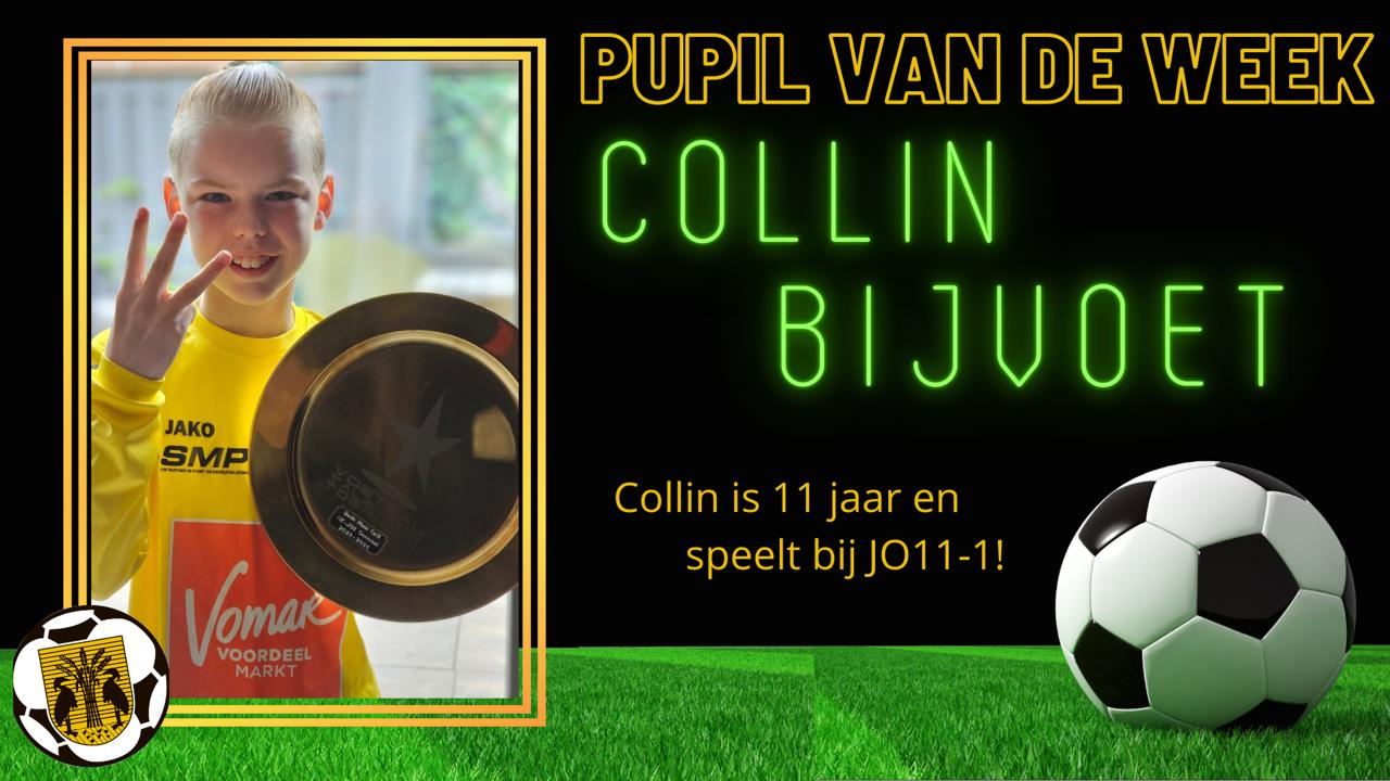 Collin Bijvoet pvdw 150325