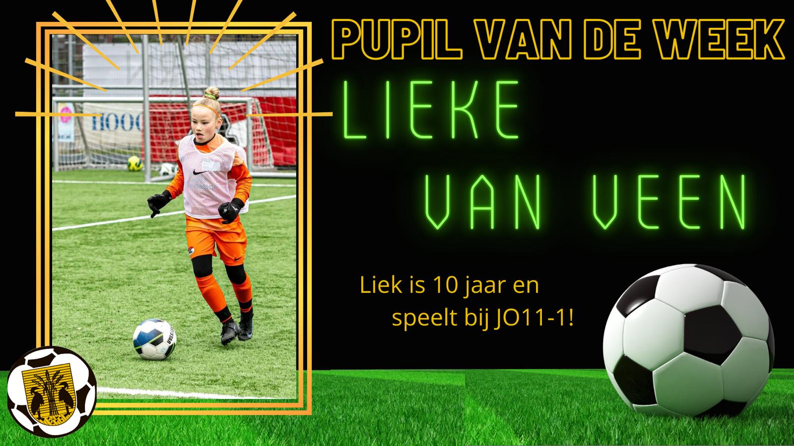 Lieke van Veen pvdw 080325