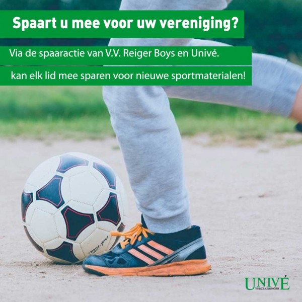 unive reigerboys spaaractie website