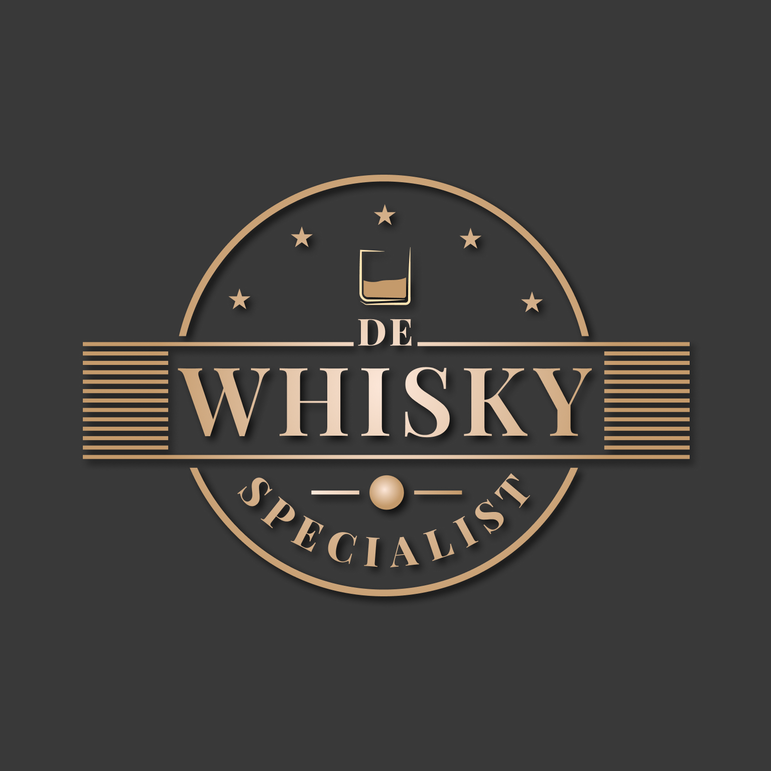 Logo DWS grijs schaduw no slogan